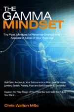 Gamma Mindset Book